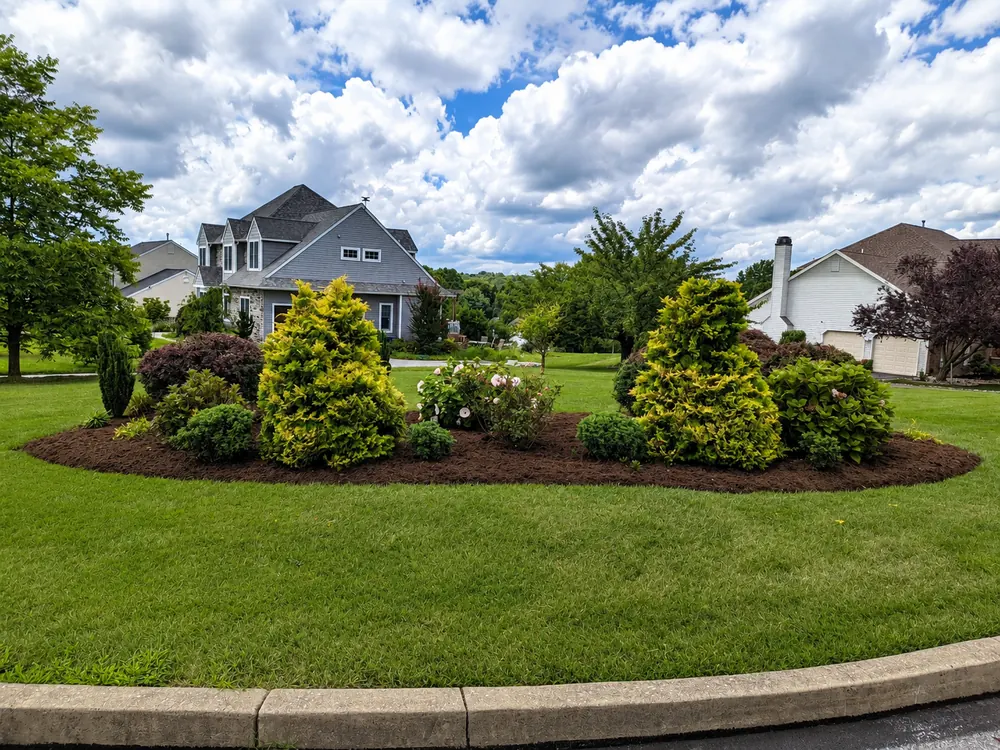 Island bed with neatly shaped, colorful ornamental shrubs in a lawn
