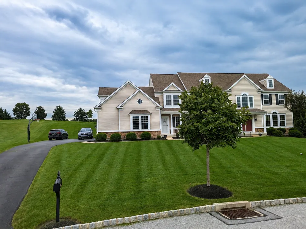 Manicured mowing stripes on a front lawn with a young tree and mailbox